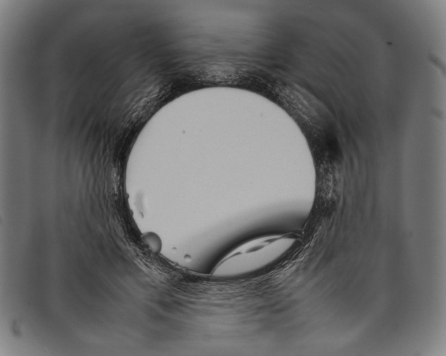 X0000097780597200804041215