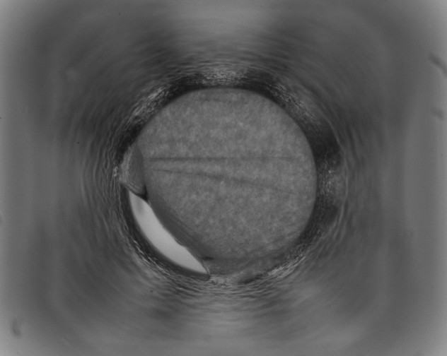 X0000097780599200804041215