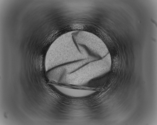 X0000097780600200804041215