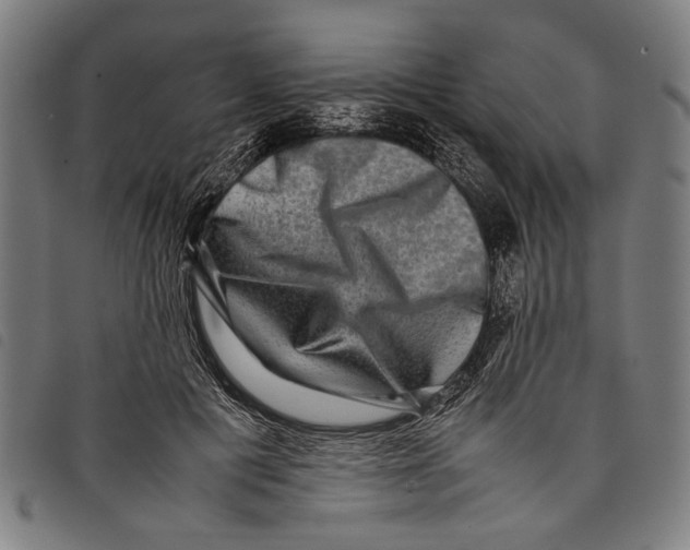 X0000097780601200804041215