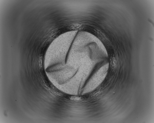 X0000097780602200804041215