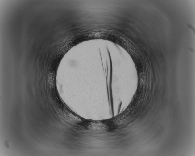 X0000097780605200804041215