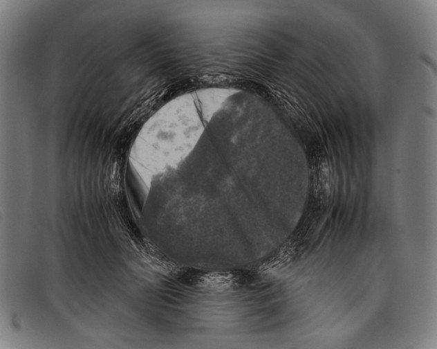 X0000097780606200804041215