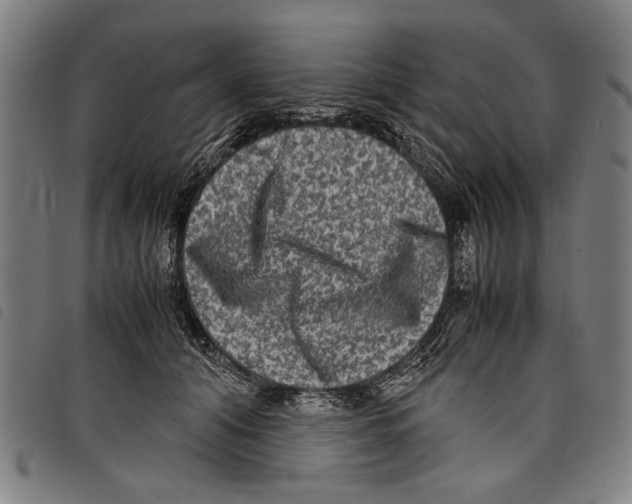 X0000097780608200804041215