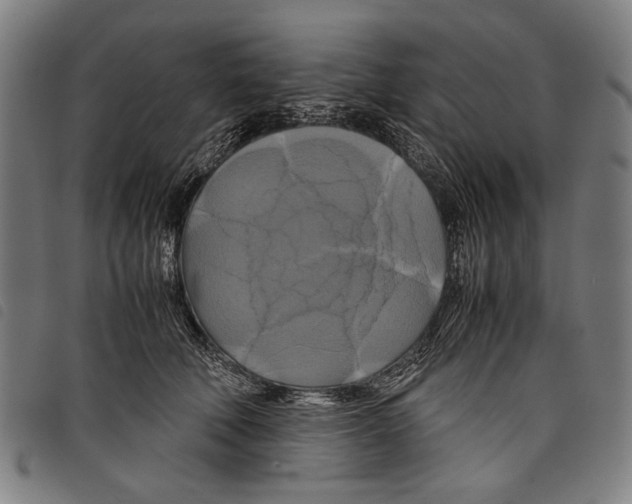 X0000097780610200804041215