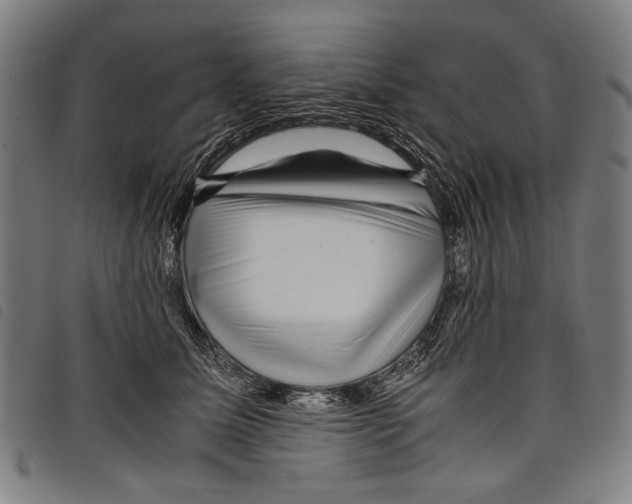 X0000097780611200804041215