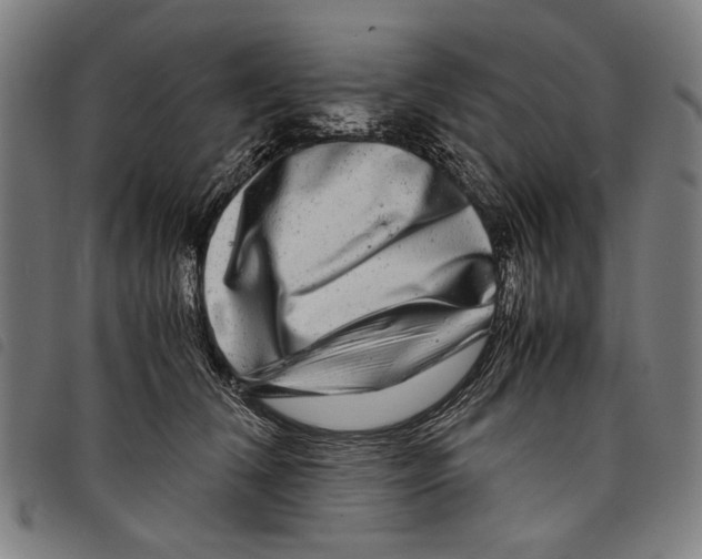 X0000097780612200804041215