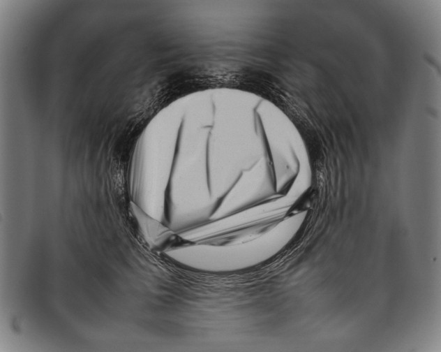 X0000097780613200804041215