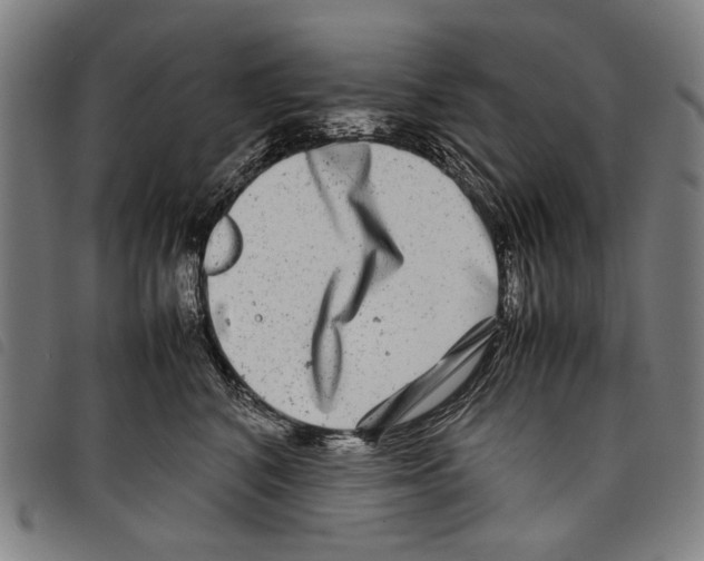 X0000097780616200804041215