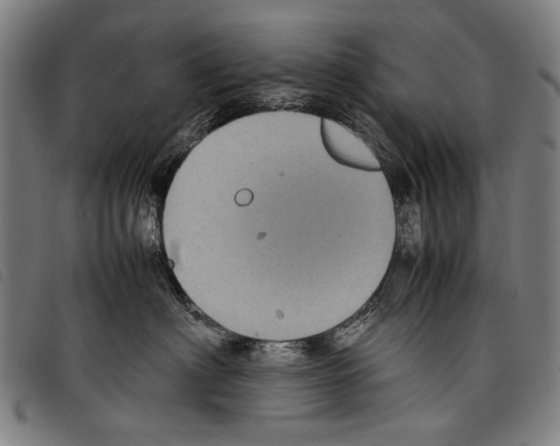 X0000097780622200804041215