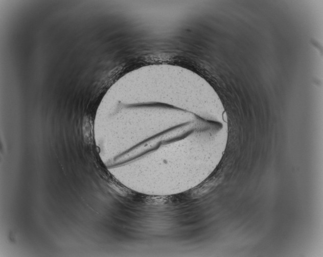 X0000097780624200804041215