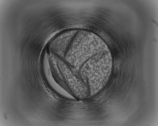 X0000097780628200804041214