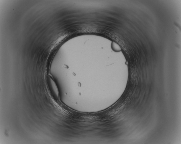 X0000097780629200804041214