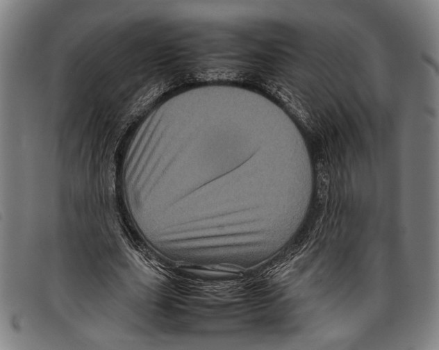 X0000097780631200804041215