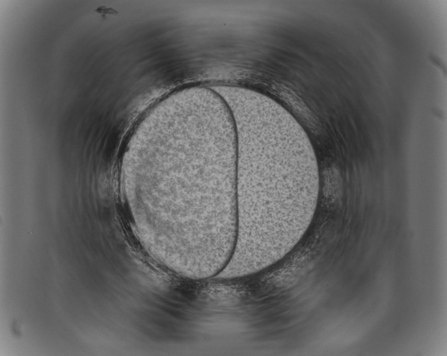 X0000097780632200804041215