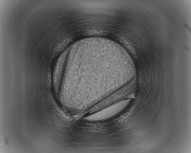 X0000097780633200804041215