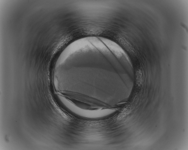 X0000097780634200804041215