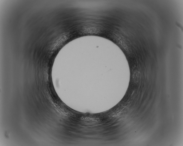 X0000097780635200804041215