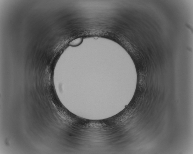 X0000097780636200804041215