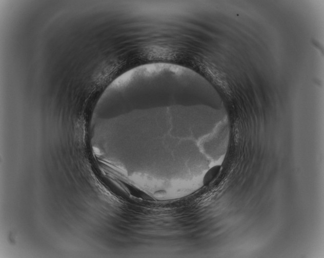 X0000097780637200804041215