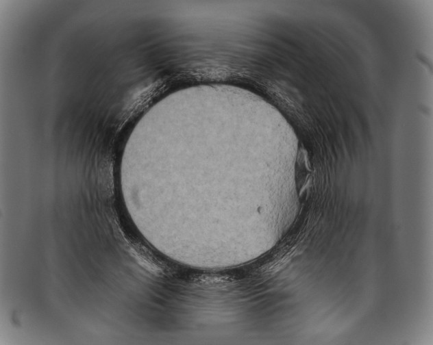 X0000097780638200804041215