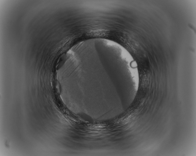 X0000097780643200804041215