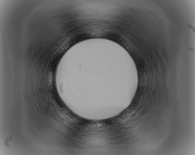 X0000097780646200804041215