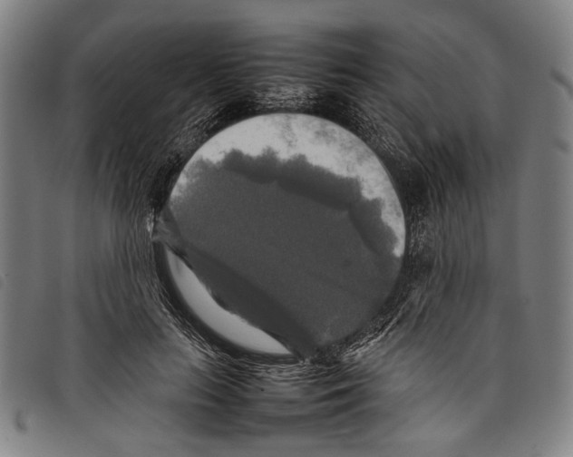 X0000097780647200804041215