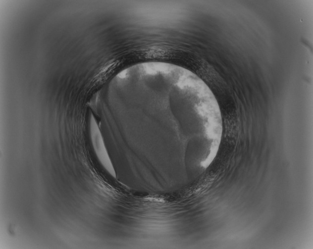 X0000097780648200804041215