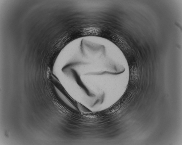 X0000097780649200804041215