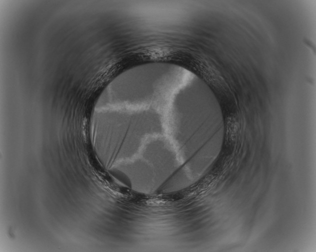 X0000097780650200804041215