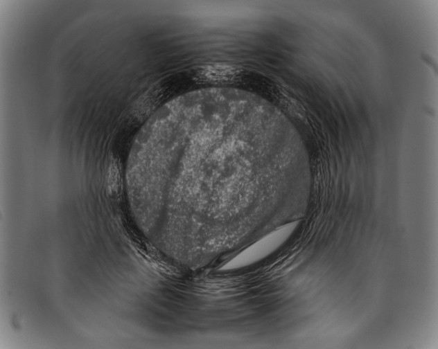 X0000097780651200804041215