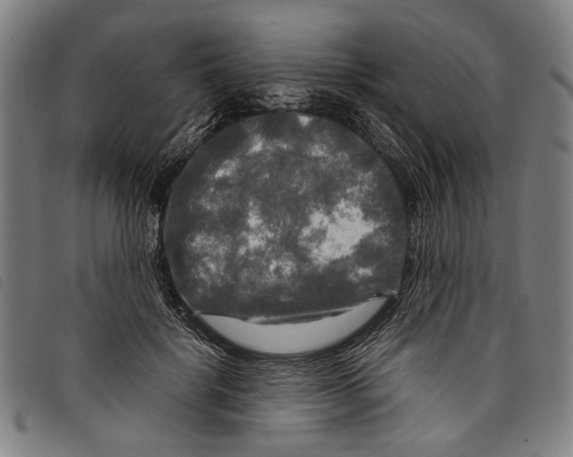 X0000097780652200804041215