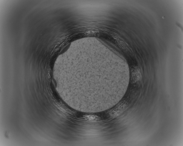 X0000097780654200804041215