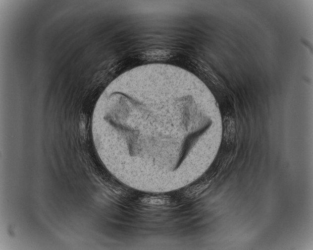 X0000097780655200804041215