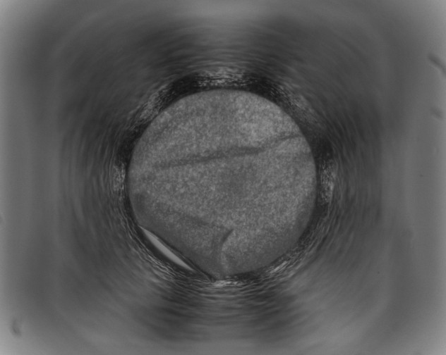 X0000097780657200804041215