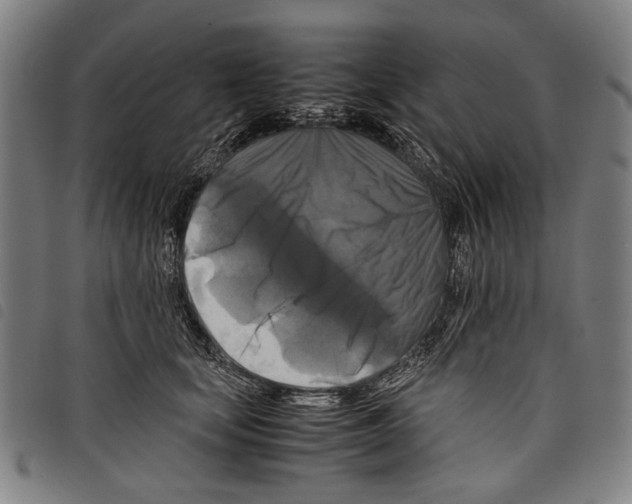 X0000097780659200804041215