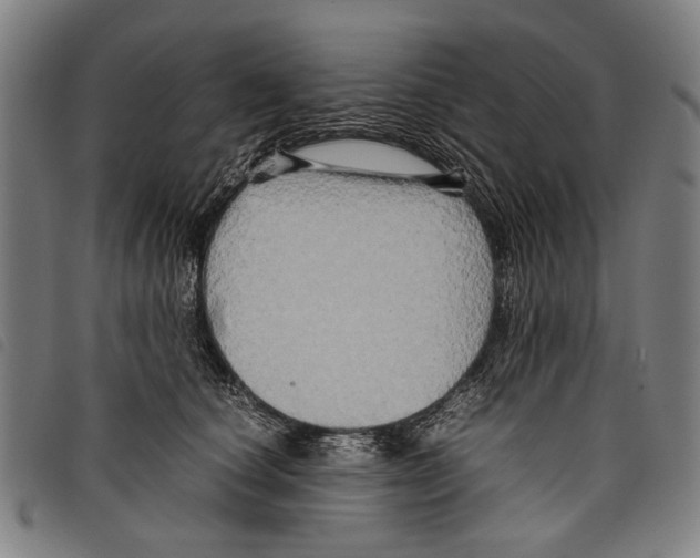 X0000097780660200804041215