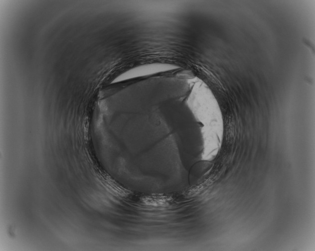 X0000097780661200804041215