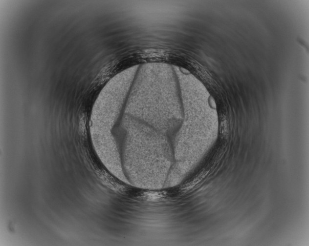 X0000097780662200804041215