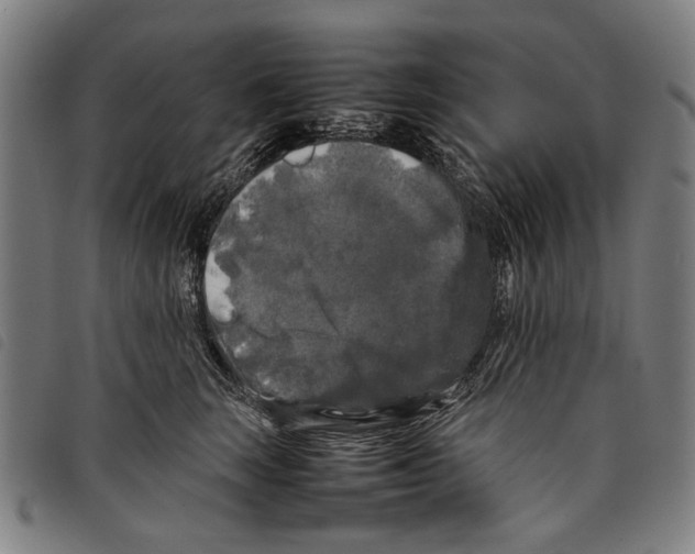 X0000097780663200804041215