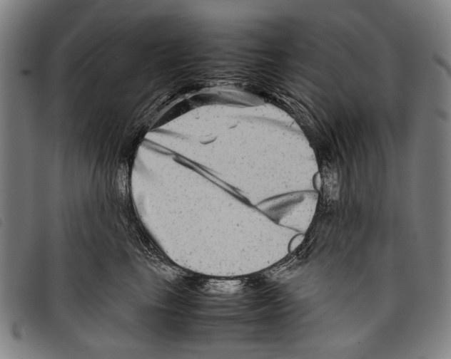 X0000097780665200804041215