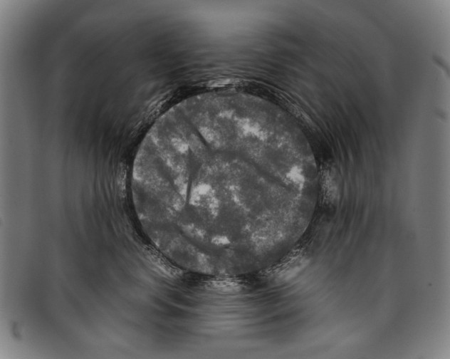 X0000097780668200804041215