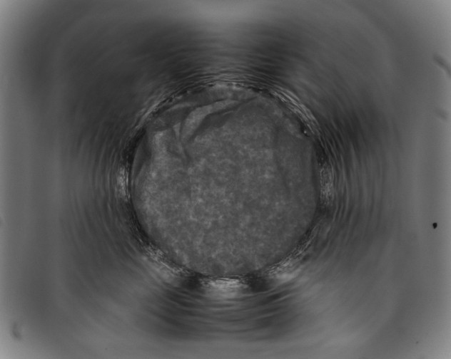 X0000097780669200804041215