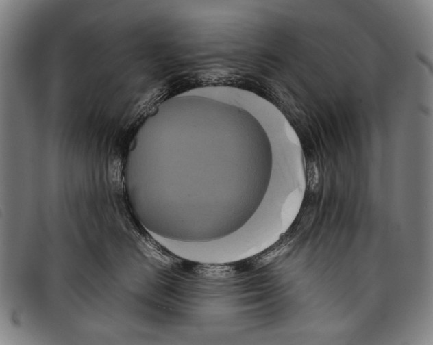 X0000097780670200804041215