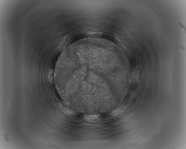 X0000097780671200804041215