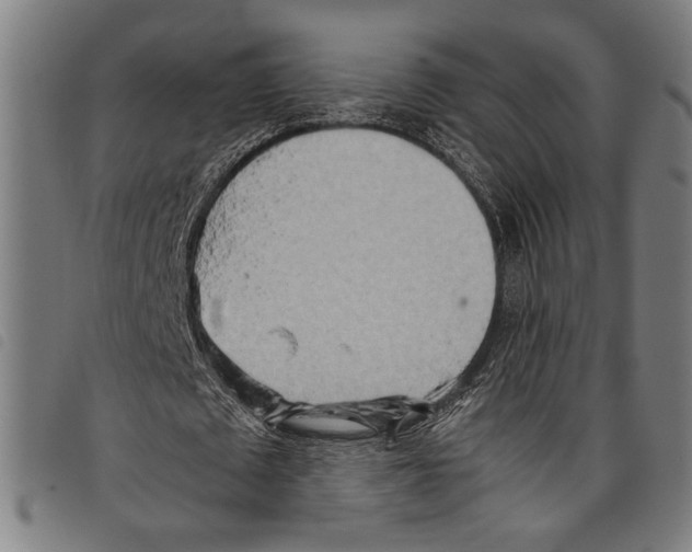 X0000097780673200804041214