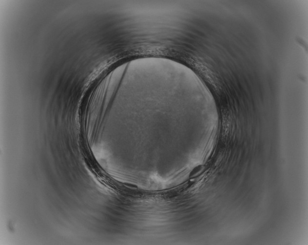 X0000097780674200804041214