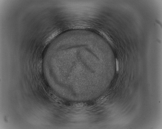 X0000097780675200804041214