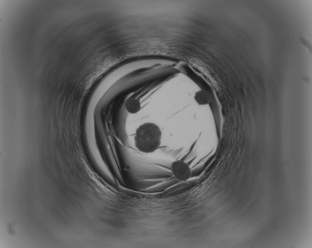 X0000097780677200804041214